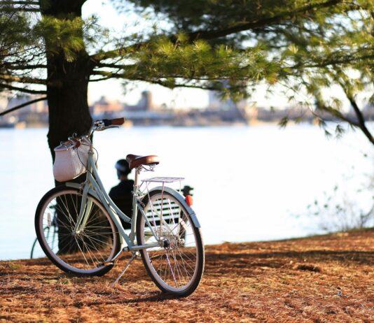 MZ세대 직장인, 일과 삶의 균형을 위한 ‘웰니스 루틴’ 뜬다 bicycle near tree