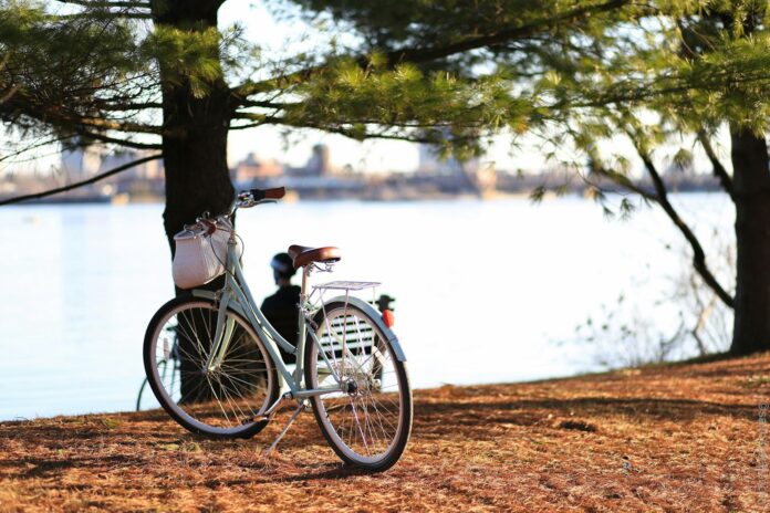 Photo by Alesia Kazantceva bicycle near tree