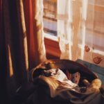 집에서 쉽게 실천하는 건강 수면 루틴… 꾸준함이 핵심 Sunlight streams through a window onto a basket of clothes.