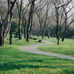 걷기 운동, 일상에서 더 똑똑하게 즐기기 – 건강 트렌드 실천법 A winding pathway through a green park.