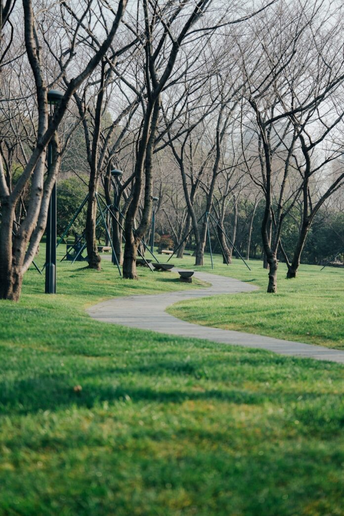 A winding pathway through a green park.