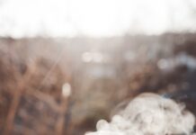 변화하는 정신건강 트렌드, 일상 속 작지만 확실한 행복 실천법 person holding white ceramic cup with hot coffee